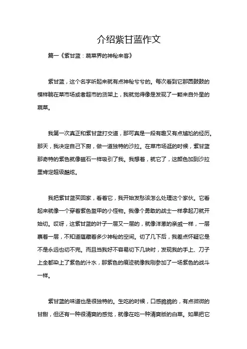 介绍紫甘蓝作文