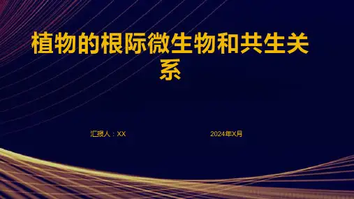 植物的根际微生物和共生关系