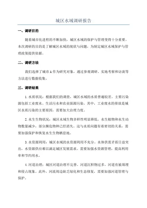 城区水域调研报告