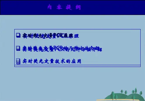RTPCR(共47张PPT)