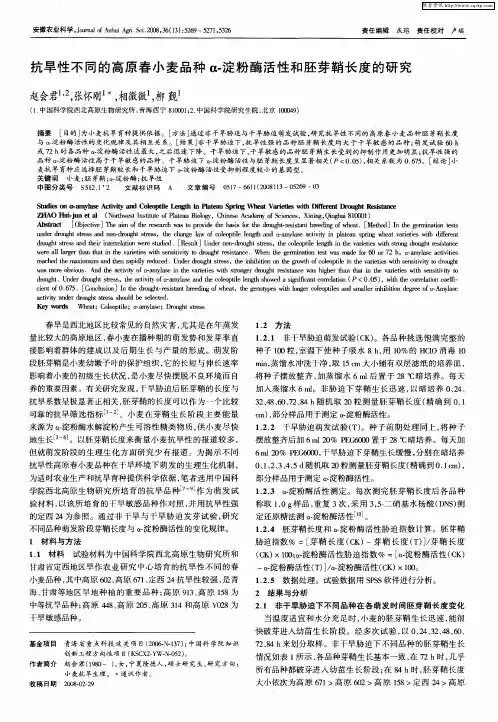 抗旱性不同的高原春小麦品种α-淀粉酶活性和胚芽鞘长度的研究