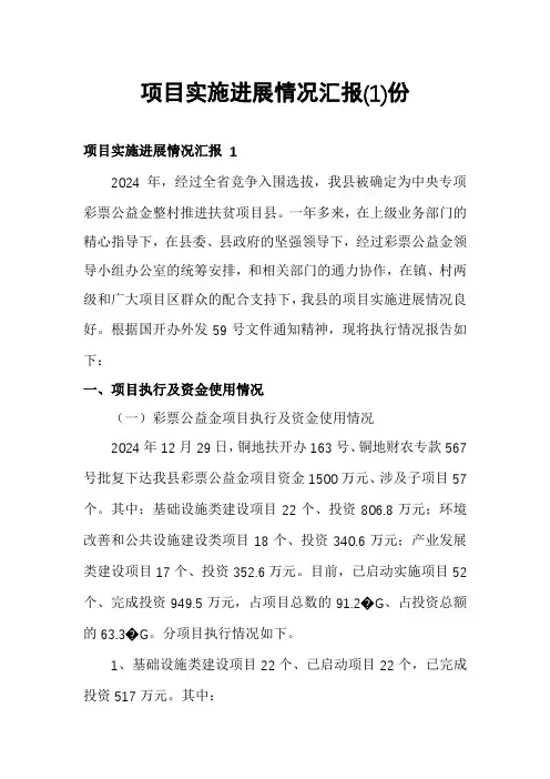 项目实施进展情况汇报份