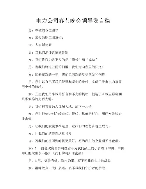 电力公司春节晚会领导发言稿