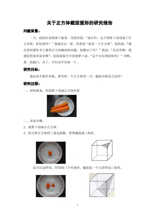 五年级：正方体截面图形