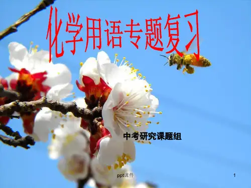 化学《化学用语专题复习》  ppt课件