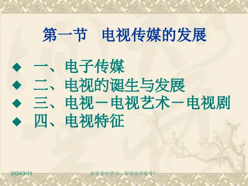 电视艺术的发展ppt课件
