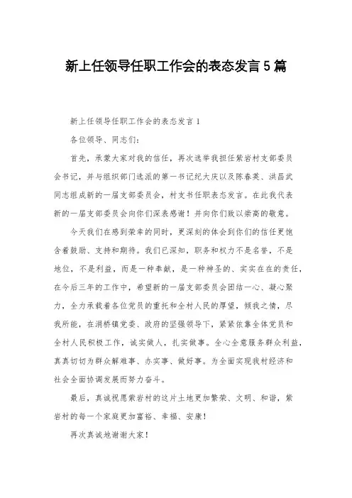 新上任领导任职工作会的表态发言5篇
