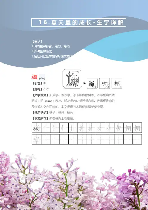 部编版六年级语文上册《夏天里的成长》文字解读