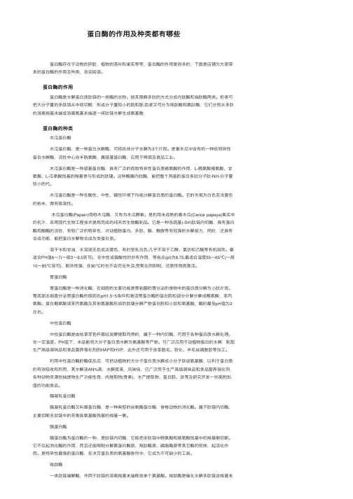 蛋白酶的作用及种类都有哪些