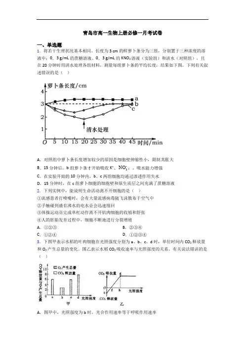 青岛市高一生物上册必修一月考试卷