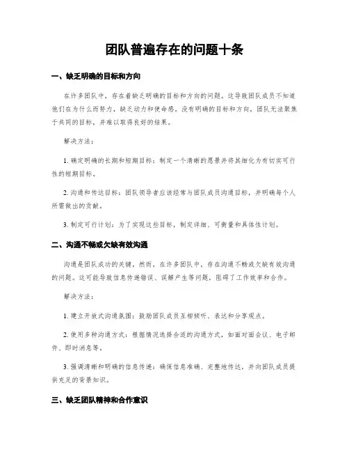 团队普遍存在的问题十条