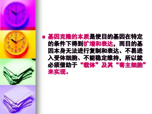 基因工程载体