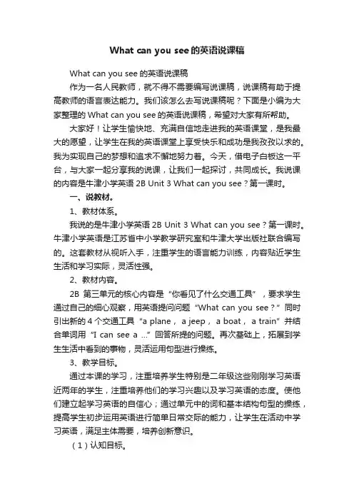 Whatcanyousee的英语说课稿