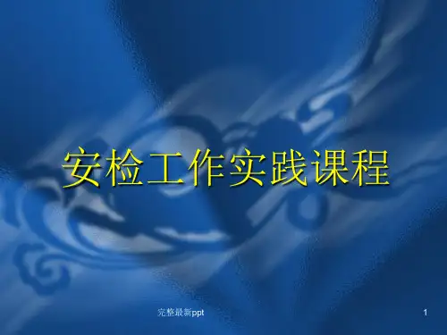 地铁安检工作实践课程ppt课件