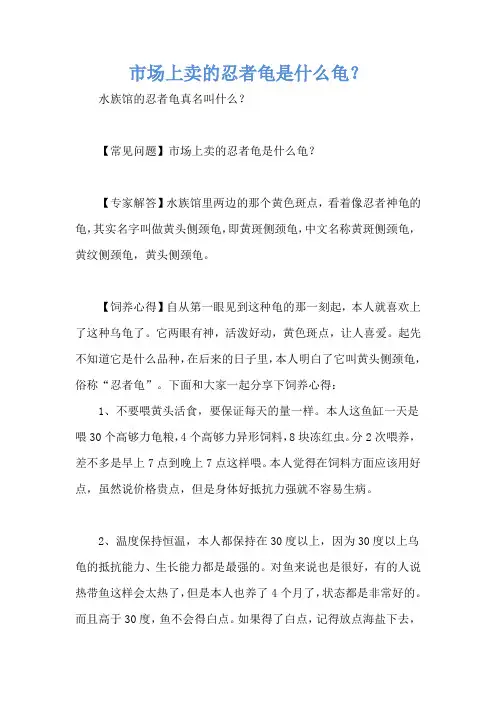 市场上卖的忍者龟是什么龟？