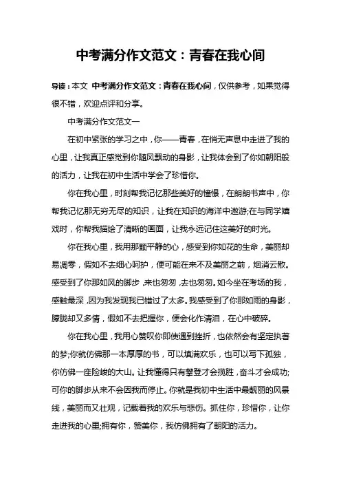 中考满分作文范文：青春在我心间