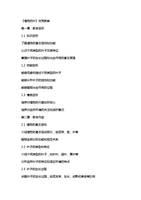 《植物的叶》教案