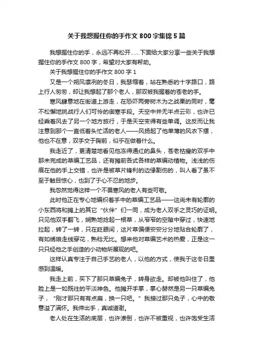关于我想握住你的手作文800字集锦5篇