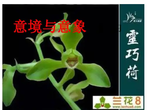 意境与意象练习