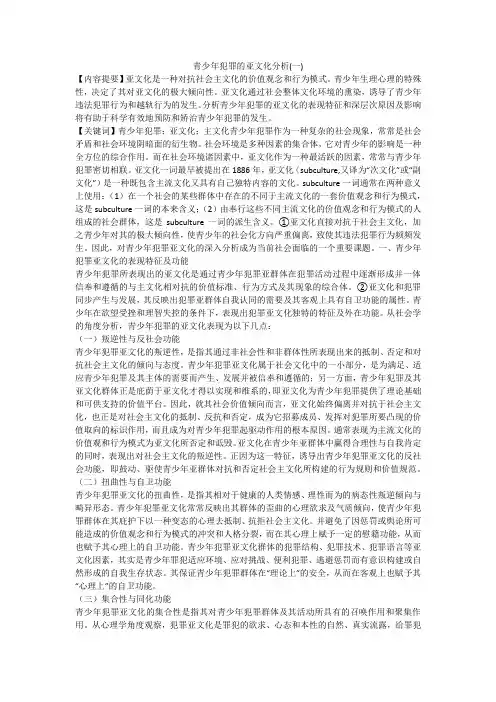 青少年犯罪的亚文化分析(一)
