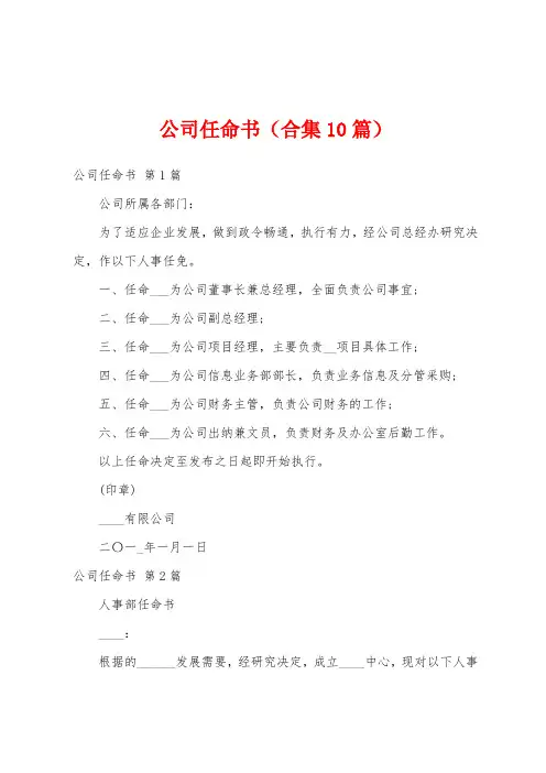 公司任命书(合集10篇)