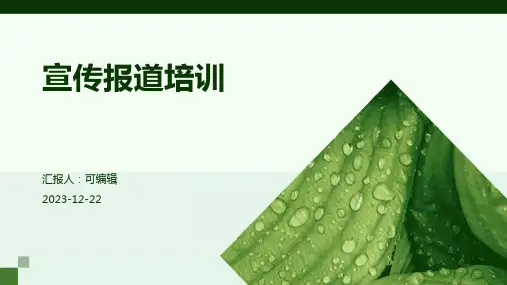 宣传报道培训