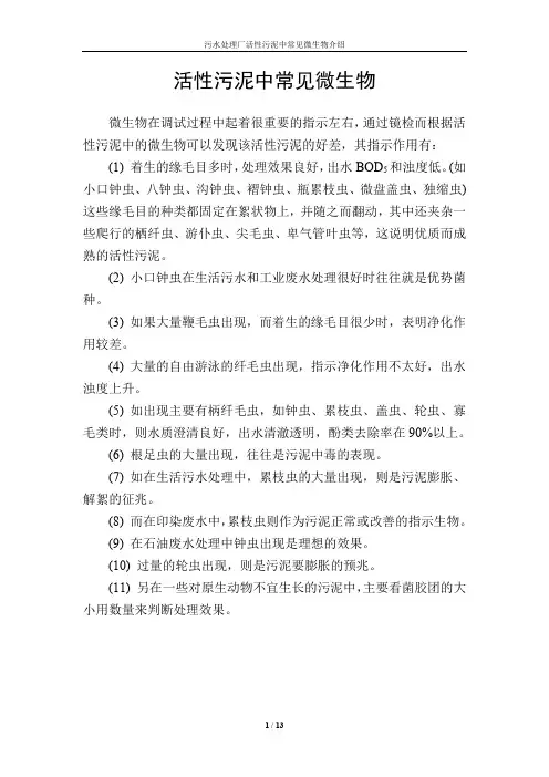污水处理厂活性污泥中常见微生物介绍(含高清图片)