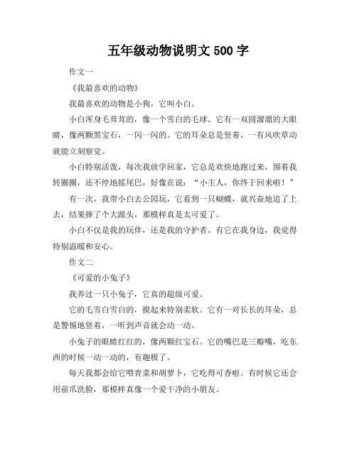 五年级动物说明文500字