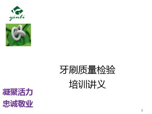 牙刷标准全套ppt课件