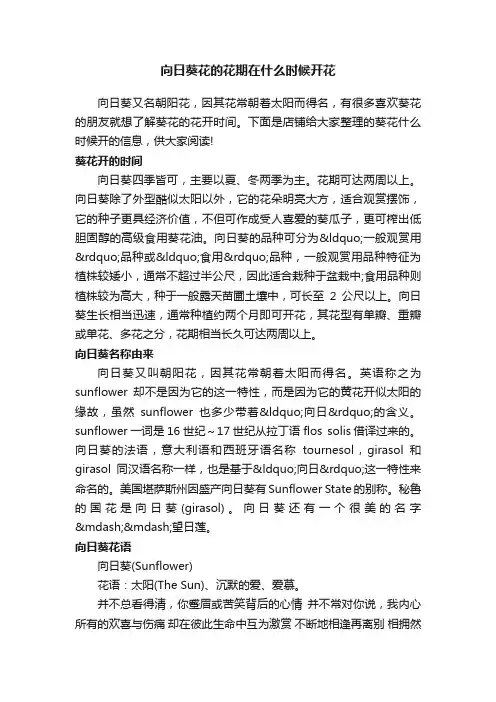 向日葵花的花期在什么时候开花