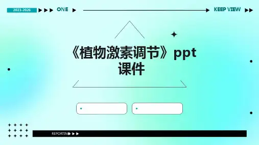 《植物激素调节》课件