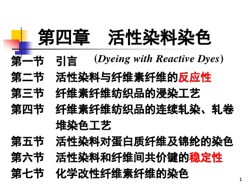 第04章 活性染料染色
