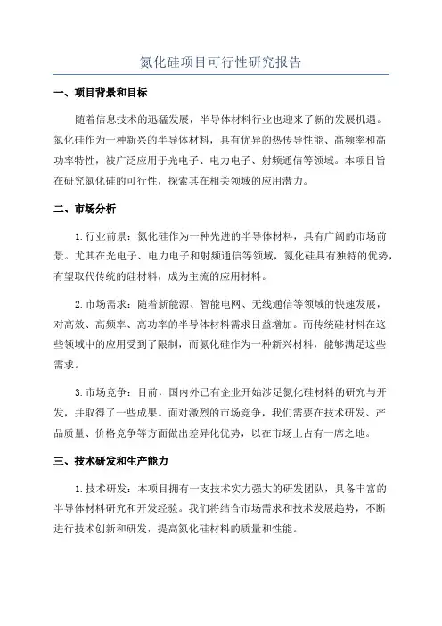 氮化硅项目可行性研究报告