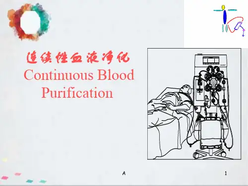 血液净化治疗_(讲课)ppt课件