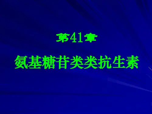 氨基糖苷类(2007)
