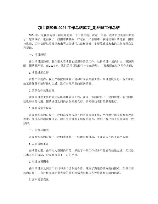 项目副经理2024工作总结范文_副经理工作总结