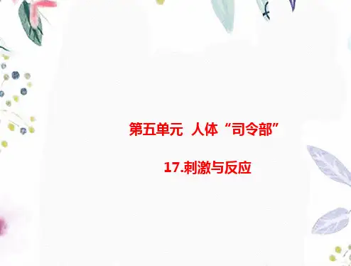 科学苏教版五年级(上册)17刺激与反应(课件)