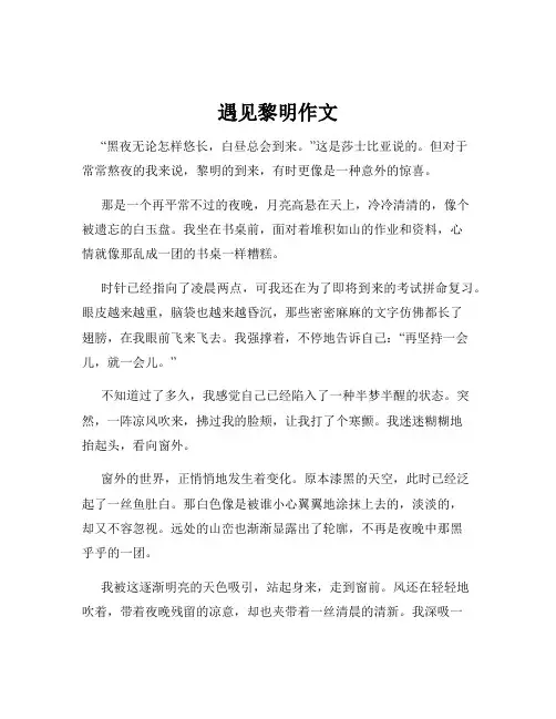 遇见黎明作文