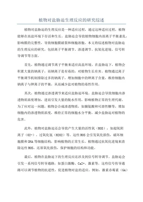植物对盐胁迫生理反应的研究综述