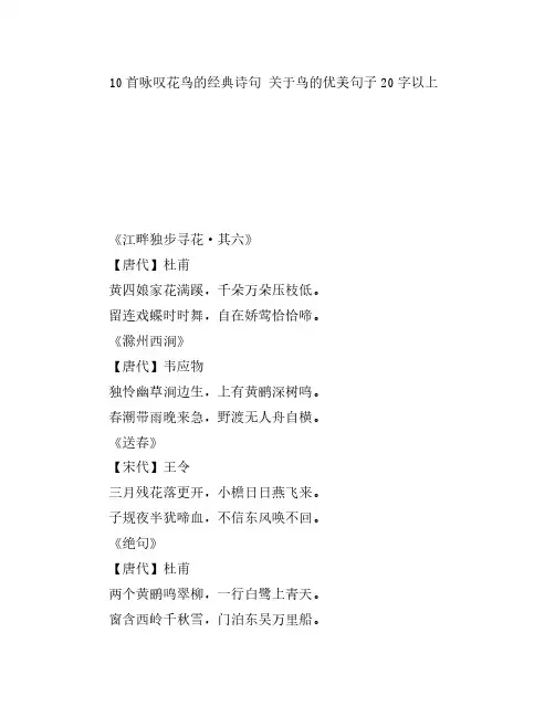 10首咏叹花鸟的经典诗句 关于鸟的优美句子20字以上
