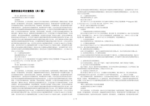融资担保公司自查报告(共3篇) 