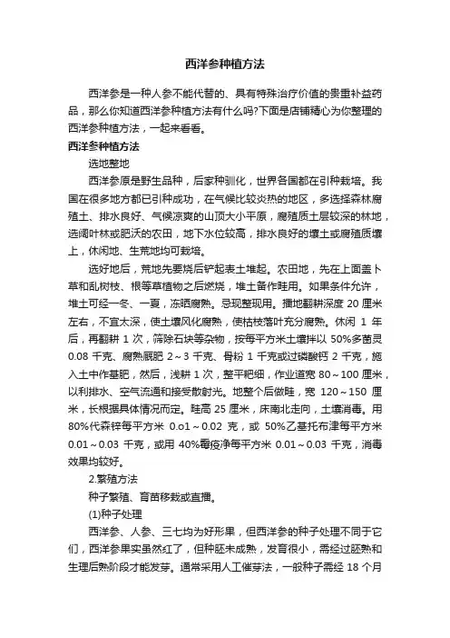 西洋参种植方法