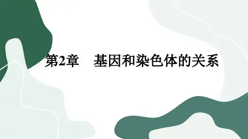 人教版生物学必修第二册2-1-2《减数分裂与受精作用》课件PPT