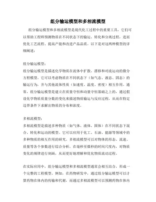 组分输运模型和多相流模型