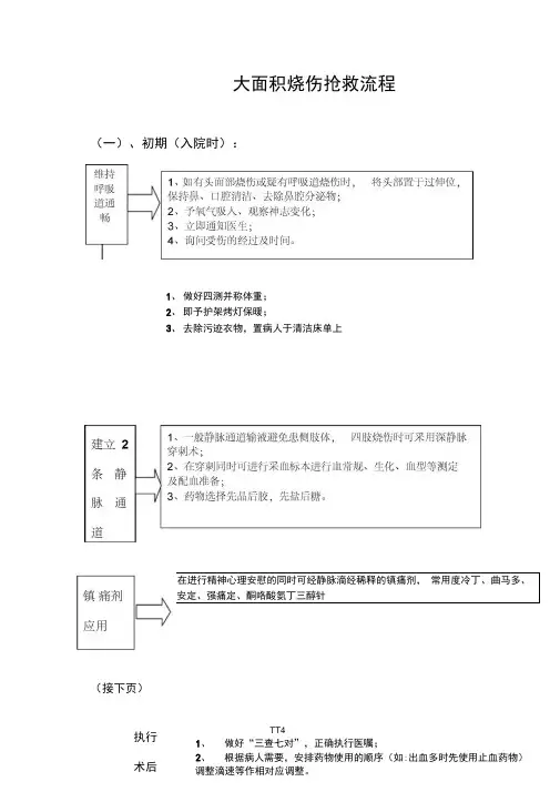 大面积烧伤的抢救流程