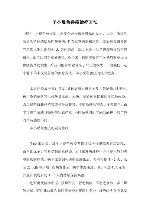 羊小反刍兽疫治疗方法.doc