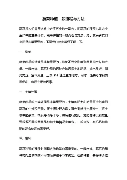 蔬菜种植一般流程与方法