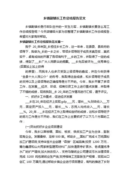 乡镇副镇长工作总结报告范文