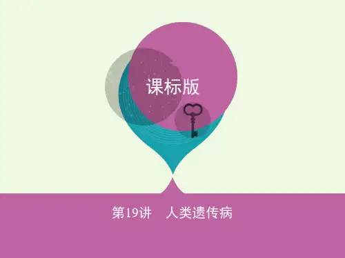 (新课标)2022高考生物一轮复习 遗传与进化 第6单元 遗传的基本规律 第19讲 人类遗传病课件(