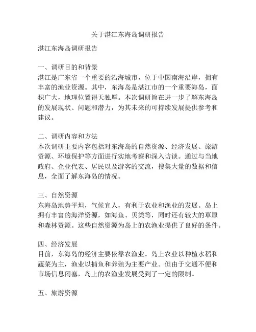 关于湛江东海岛调研报告